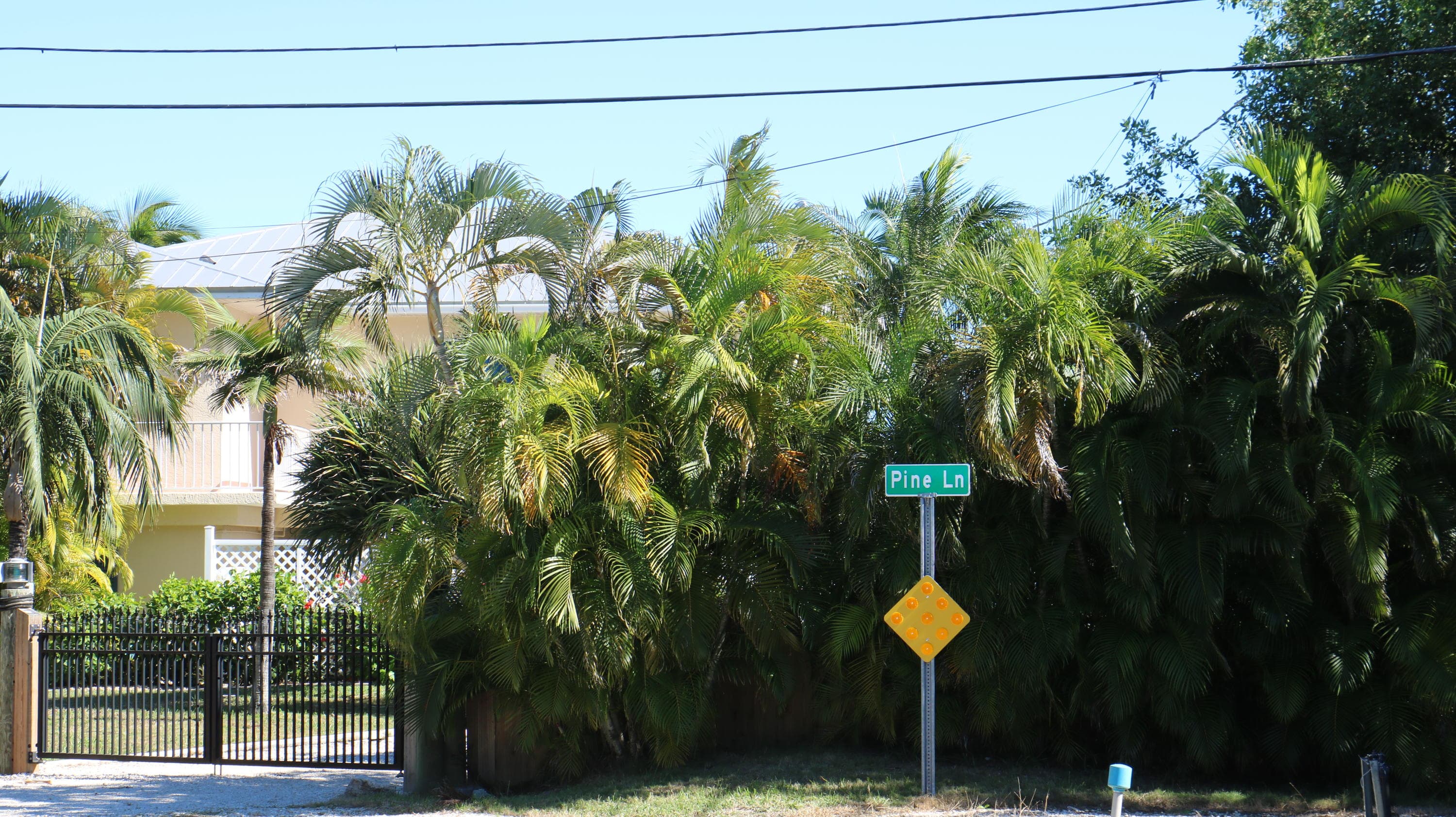 30894 Palm Drive, Big Pine Key, FL 33043 — IMG_4387