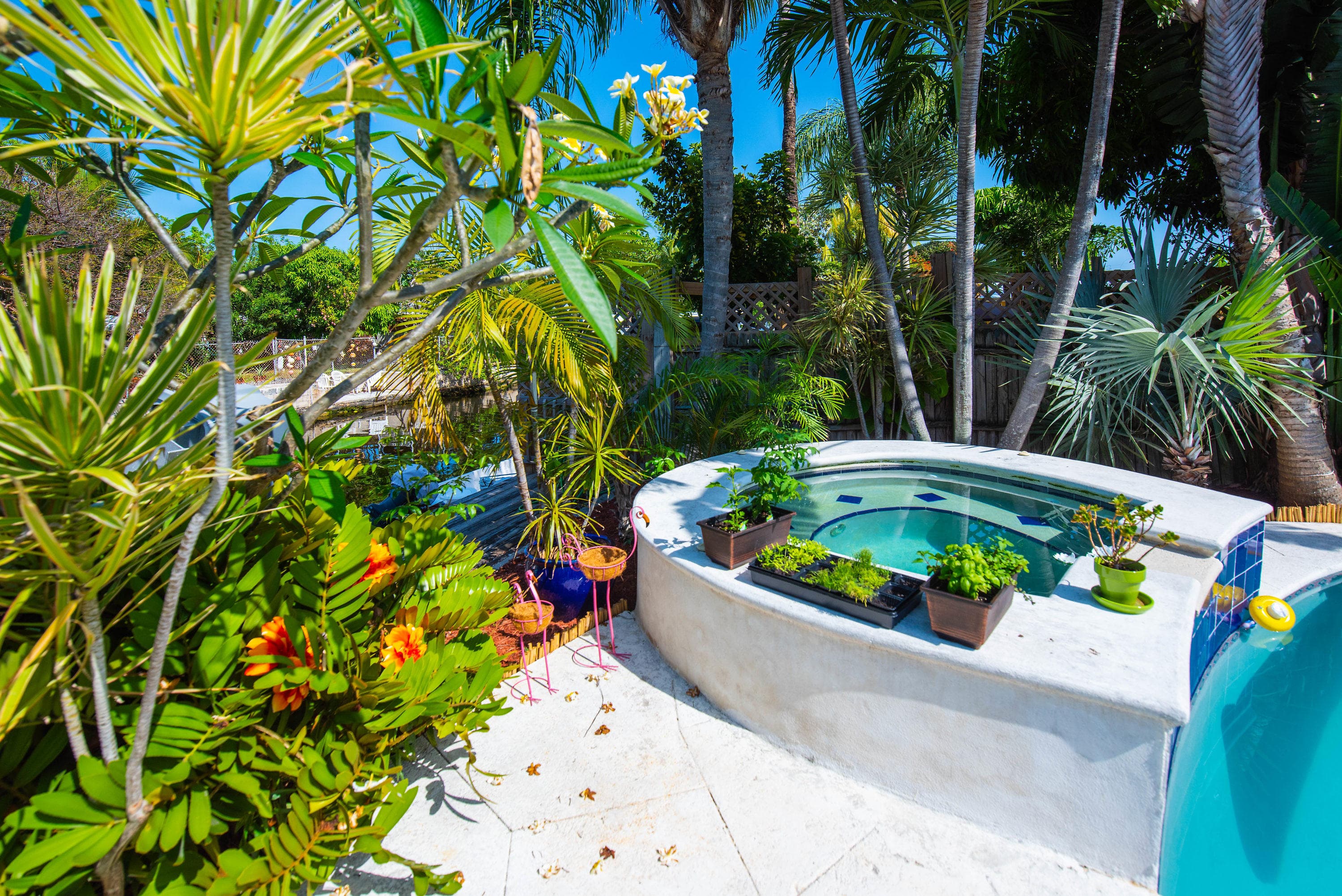 1613 Jamaica Drive, Key West, FL 33040 — Jaccuzi
